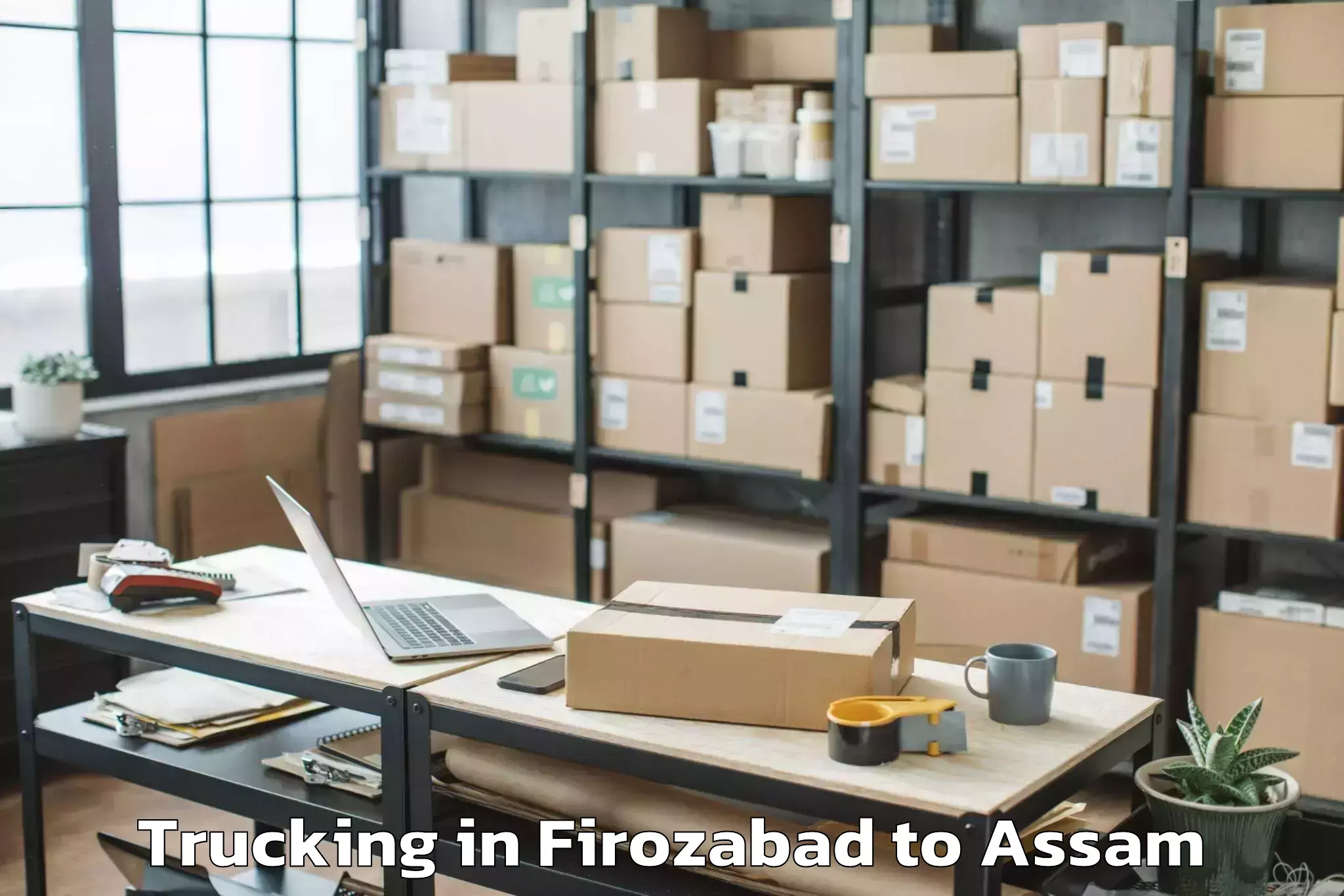 Hassle-Free Firozabad to Azara Trucking